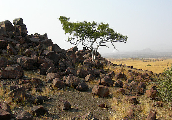 Twifelfontein