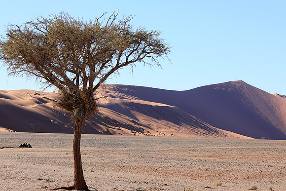 Sossusvlei - Namib desert
