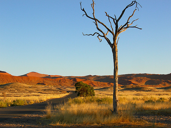 Sossusvlei - Namib desert