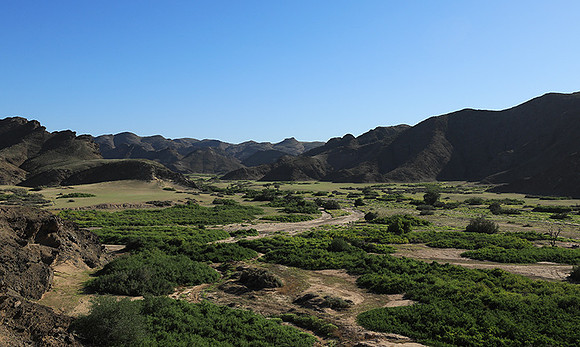 skeleton coast