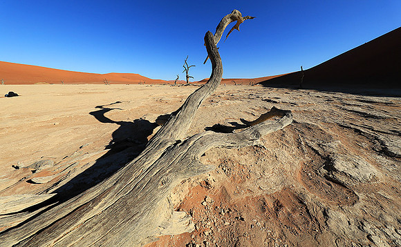 Deadvlei - Namib desert