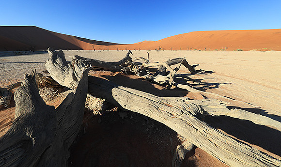 Deadvlei - Namib desert