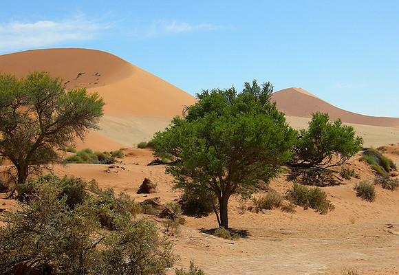 Sossusvlei - Namib desert
