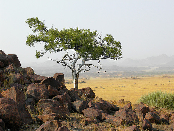 Twifelfontein
