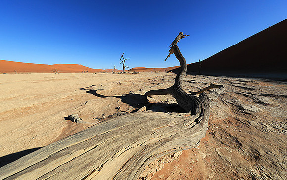 Deadvlei - Namib desert