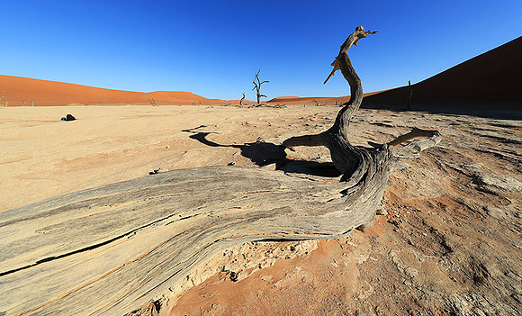Deadvlei - Namib desert