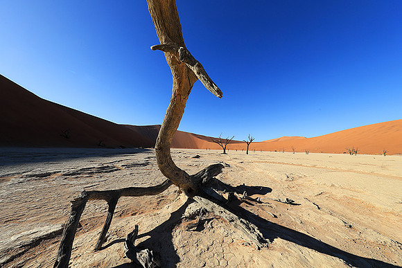 Deadvlei - Namib desert