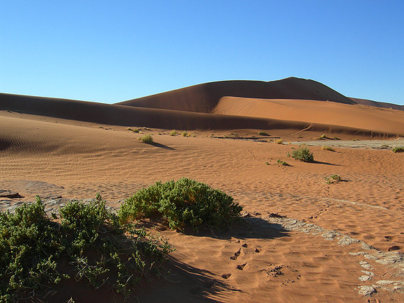 Sossusvlei - Namib desert