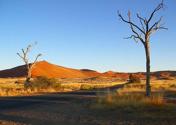 Sossusvlei - Namib desert