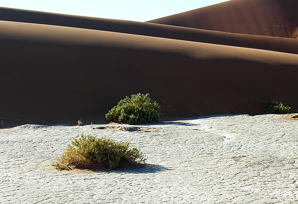 Sossusvlei - Namib desert