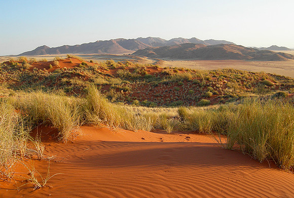 Namib Rand