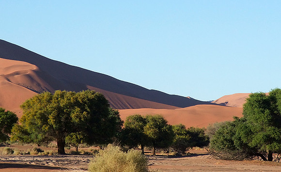 Sossusvlei - Namib desert