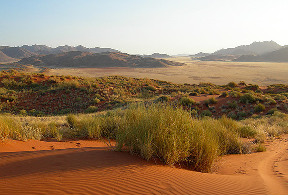 Namib Rand