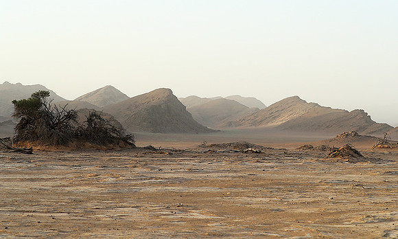skeleton coast