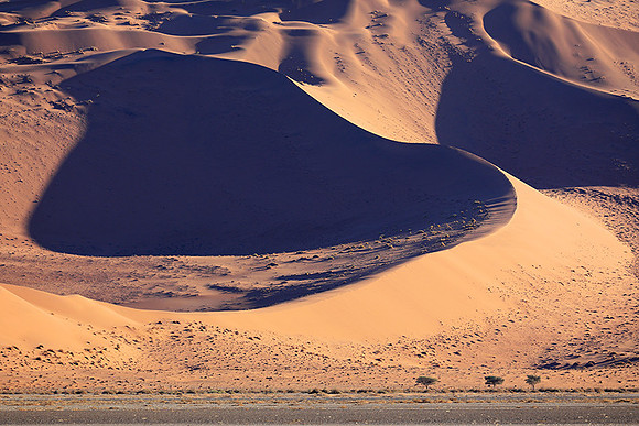 Sossusvlei - Namib desert