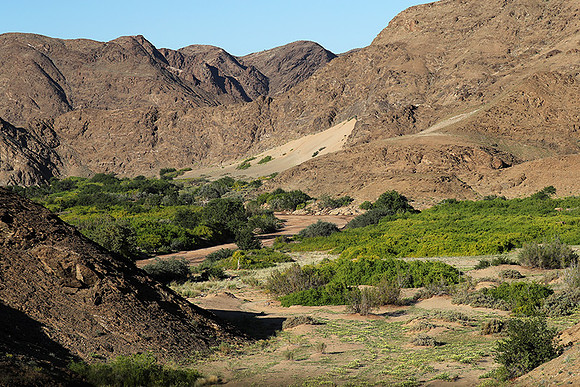 skeleton coast
