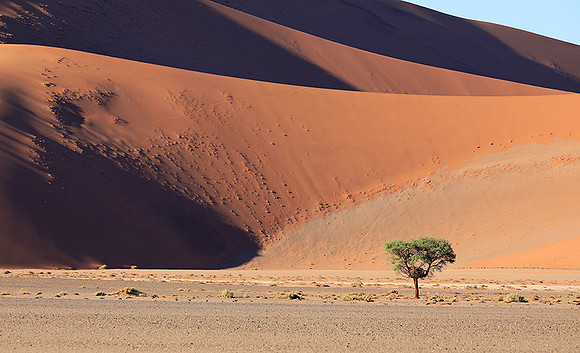Sossusvlei - Namib desert