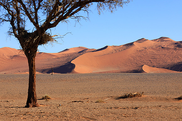 Sossusvlei - Namib desert