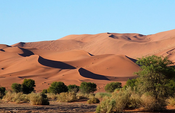 Sossusvlei - Namib desert