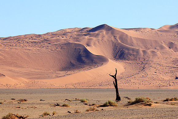Sossusvlei - Namib desert