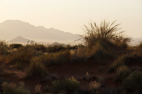 Namib Rand