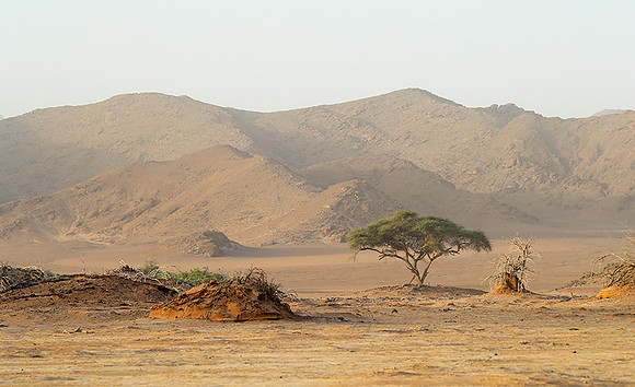 skeleton coast
