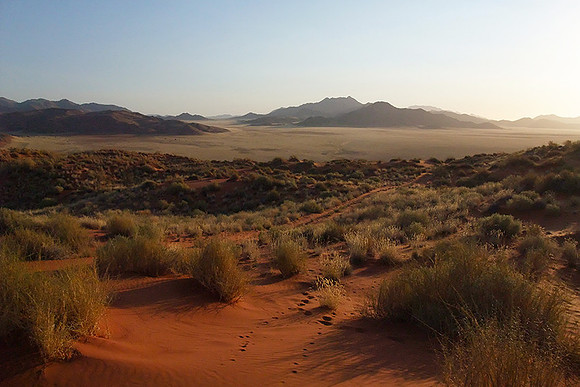 Namib Rand