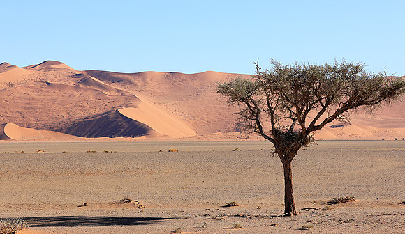Sossusvlei - Namib desert