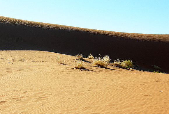 Sossusvlei - Namib desert