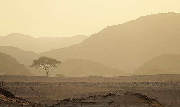 skeleton coast