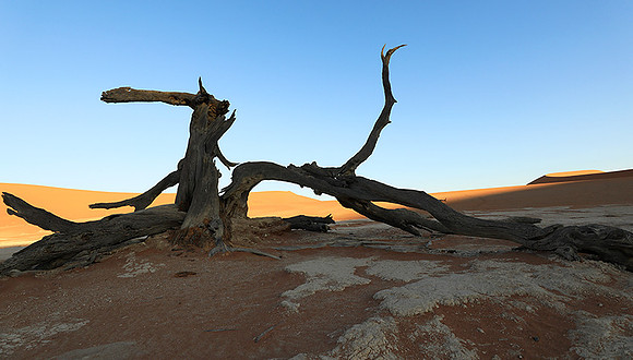 Deadvlei - Sossusvlei - Namib desert