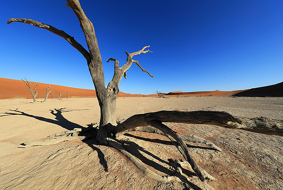 Deadvlei - Sossusvlei - Namib desert