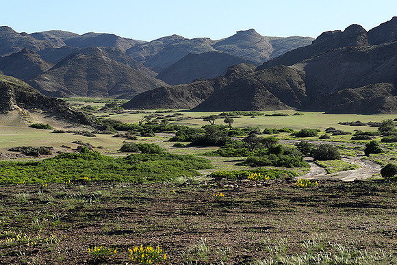 skeleton coast