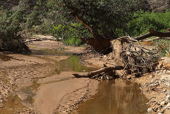 Hoanib river bed - Skeleton coast