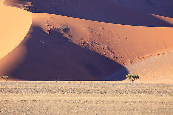 Sossusvlei - Namib desert