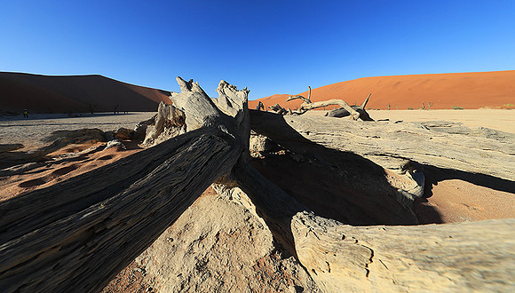Deadvlei - Namib desert
