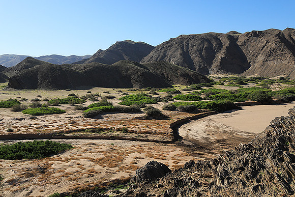 skeleton coast