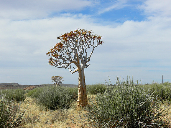 Near Fish River Canyon