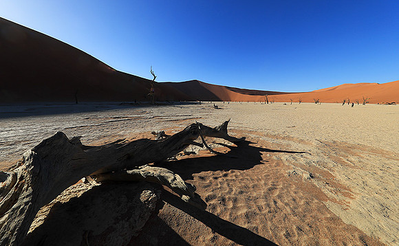 Deadvlei - Namib desert