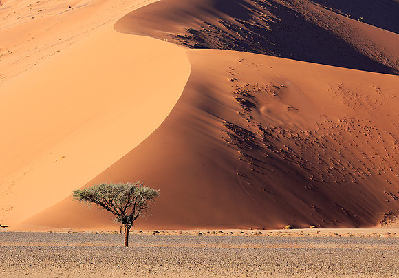 Sossusvlei - Namib desert