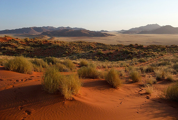 Namib Rand