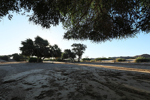 Hoanib river bed - Skeleton coast