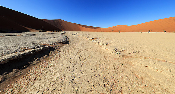 Deadvlei - Namib desert