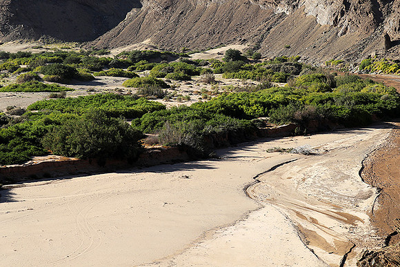 skeleton coast