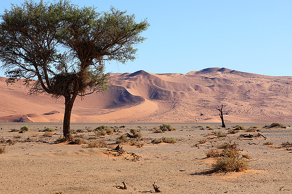 Sossusvlei - Namib desert