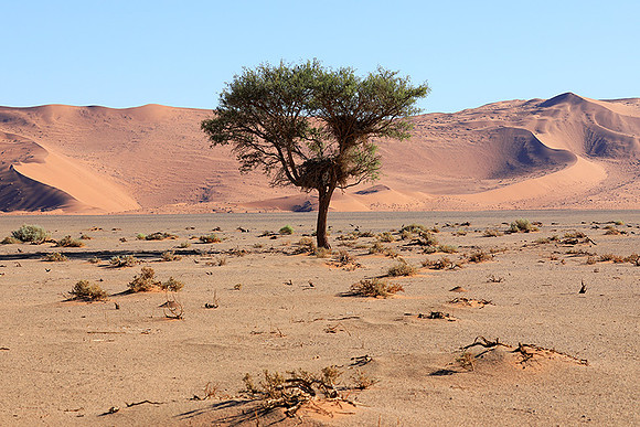 Sossusvlei - Namib desert