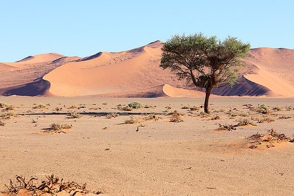 Sossusvlei - Namib desert