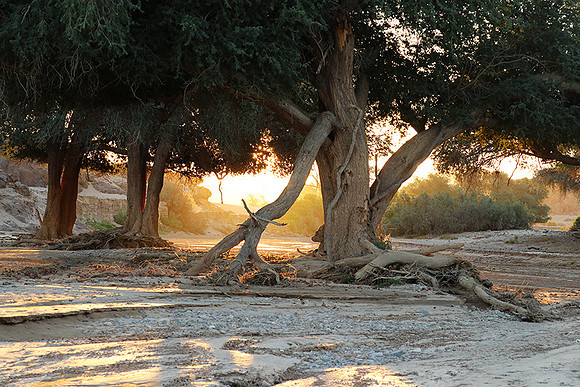 Hoanib river bed - Skeleton coast