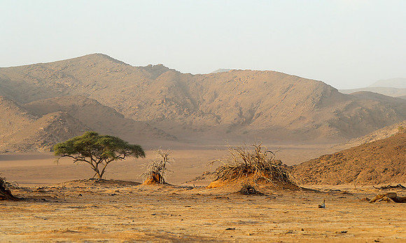 skeleton coast