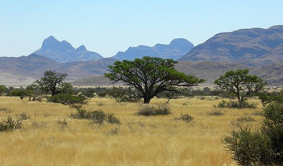 Namib Rand